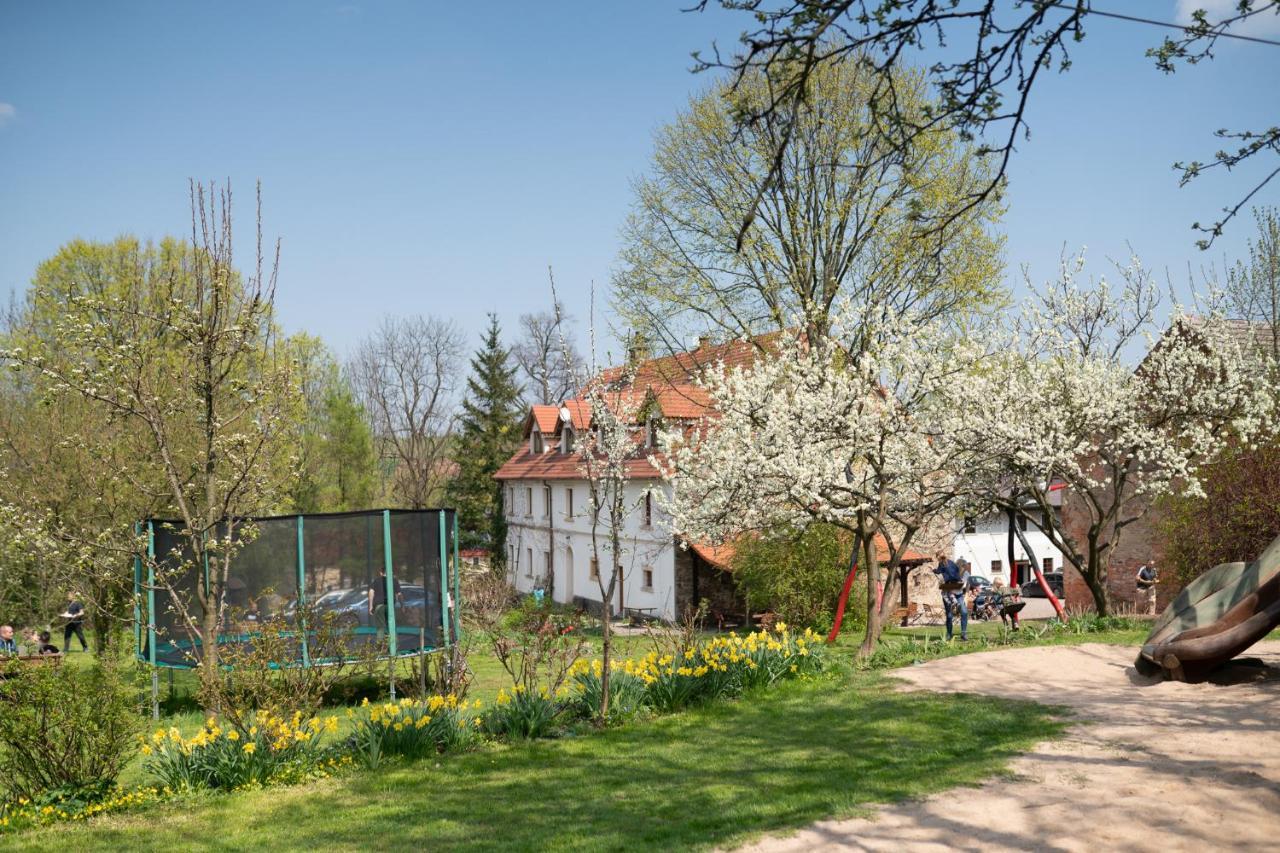 Villa Greta 스비에르자바 외부 사진